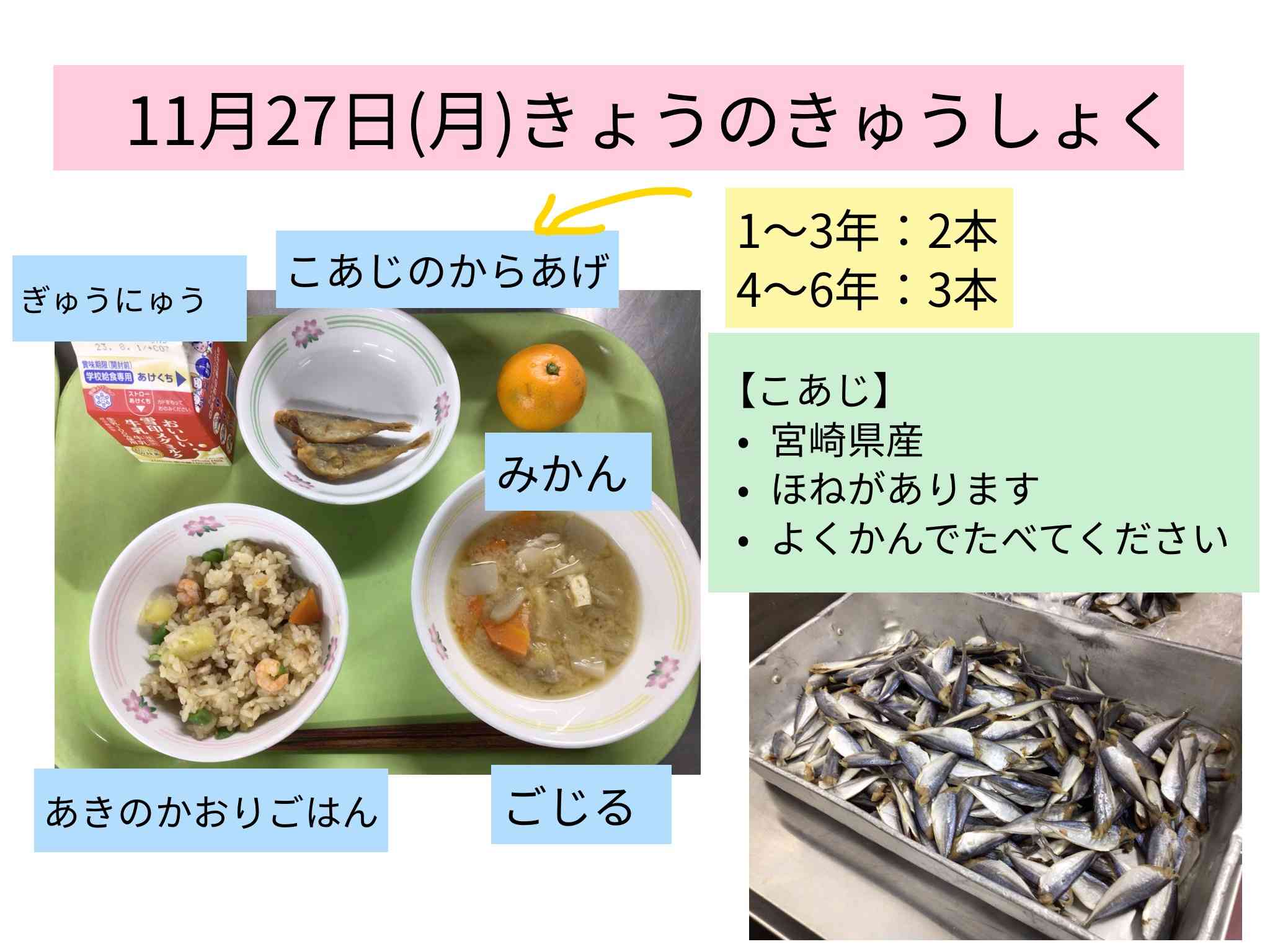 225A サメ図鑑 アイボリ ランチョンマット 1枚 40×50 小学校 給食